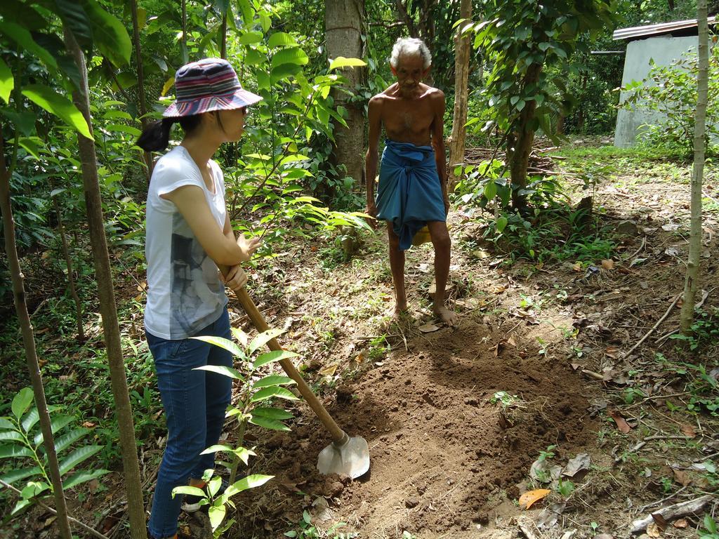 Lady Gordons Homestay Kandy Luaran gambar