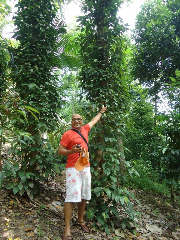 Lady Gordons Homestay Kandy Luaran gambar